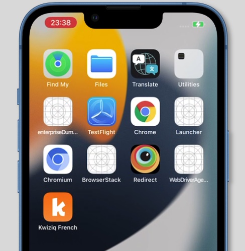 Official Kwiziq screenshot showing the web app icon on an iPhone home screen after installation